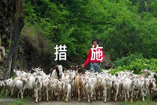 如何结合跑步和篮球训练提高耐力?_2